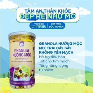 Granola Siêu Hạt Không Yến Mạch Ngũ Cốc Hạt Mix Trái Cây BH.NONG - Ăn Kiêng - Hũ 500gram