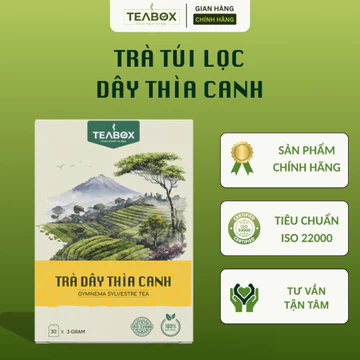 Trà Dây Thìa Canh TEABOX Hộp 30 Túi Lọc Tem Chỉ x 3 Gram Tiêu Chuẩn ISO 22000