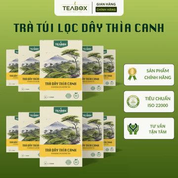 [COMBO 10 HỘP] Trà Dây Thìa Canh TEABOX Hộp 30 Túi Lọc Tem Chỉ x 3 Gram Tiêu Chuẩn ISO 22000