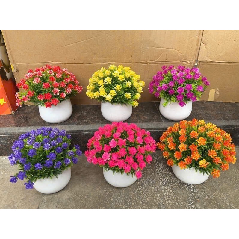 Chậu hoa baby để bàn dáng tròn size nhỏ,trang trí ,decor siêu xinh