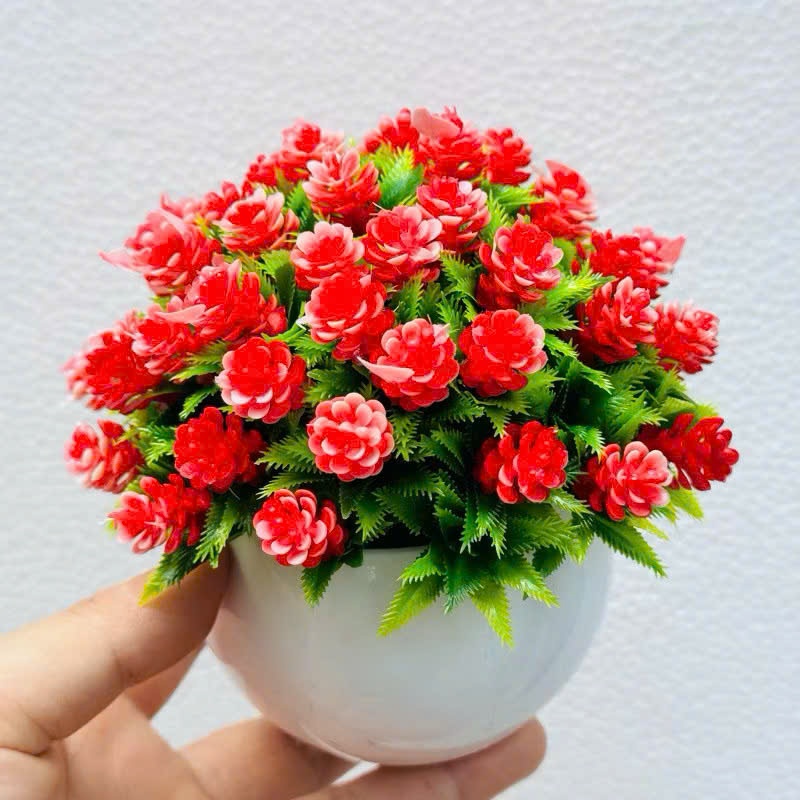 Chậu hoa baby để bàn dáng tròn size nhỏ,trang trí ,decor siêu xinh