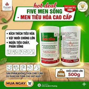 men tiêu hoá sống