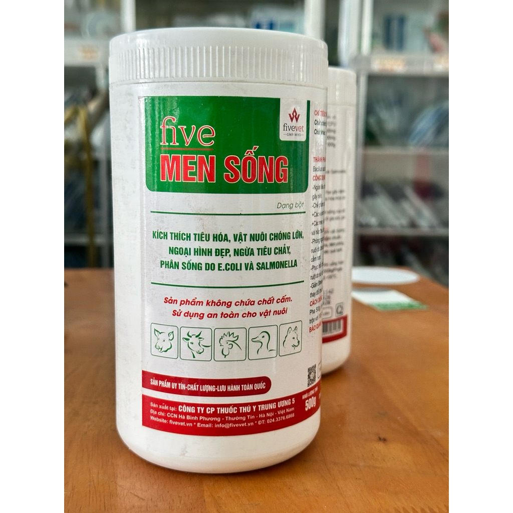 men tiêu hoá sống