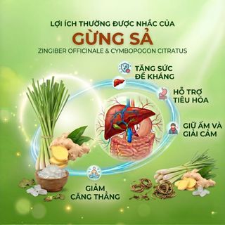 Trà Gừng Sả túi lọc AMMU giúp giữ ấm cơ thể ngừa cảm cúm Hộp 20 Túi Lọc