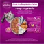 Thức ăn cho mèo con dạng sốt WHISKAS - gói 80g, 14 gói