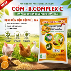 cốm b.complex c gói 1kg cung cấp vitamin