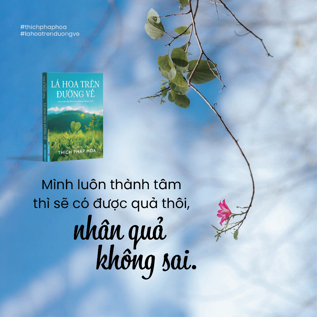 Sách - Lá Hoa Trên Đường Về - Thích Pháp Hoà