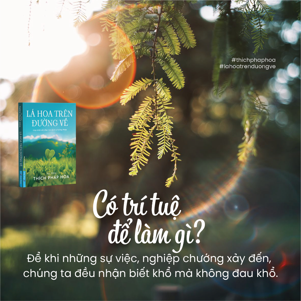 Sách - Lá Hoa Trên Đường Về - Thích Pháp Hoà