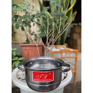 Nồi Hấp Inox  20cm kèm vỉ hấp Home max vietnam