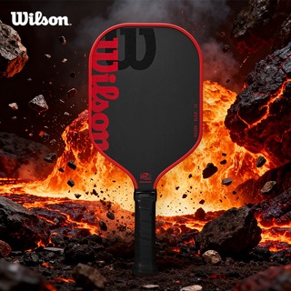 Wilson Blaze 13 Vợt Pickleball Paddle WR157911U2