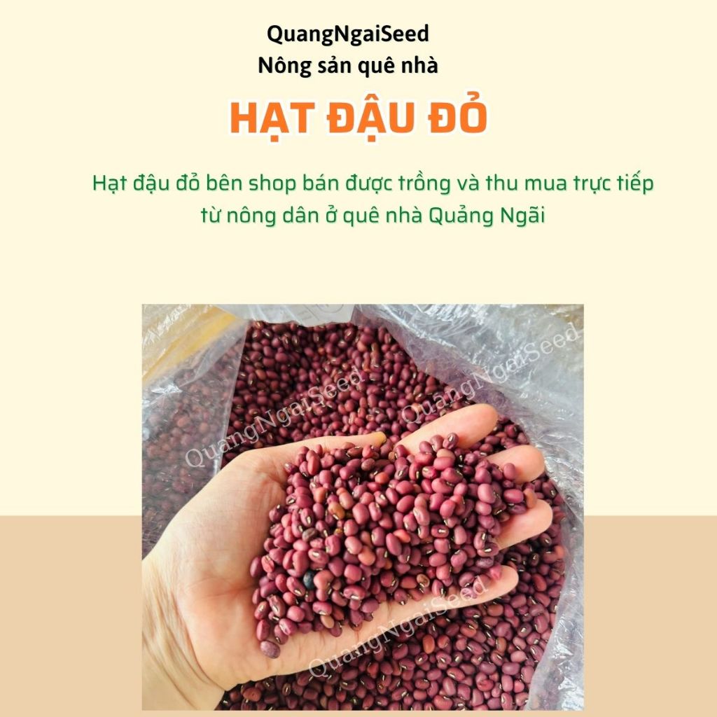 Hạt Đậu Đỏ Quảng Ngãi Phơi Khô Tự Nhiên
