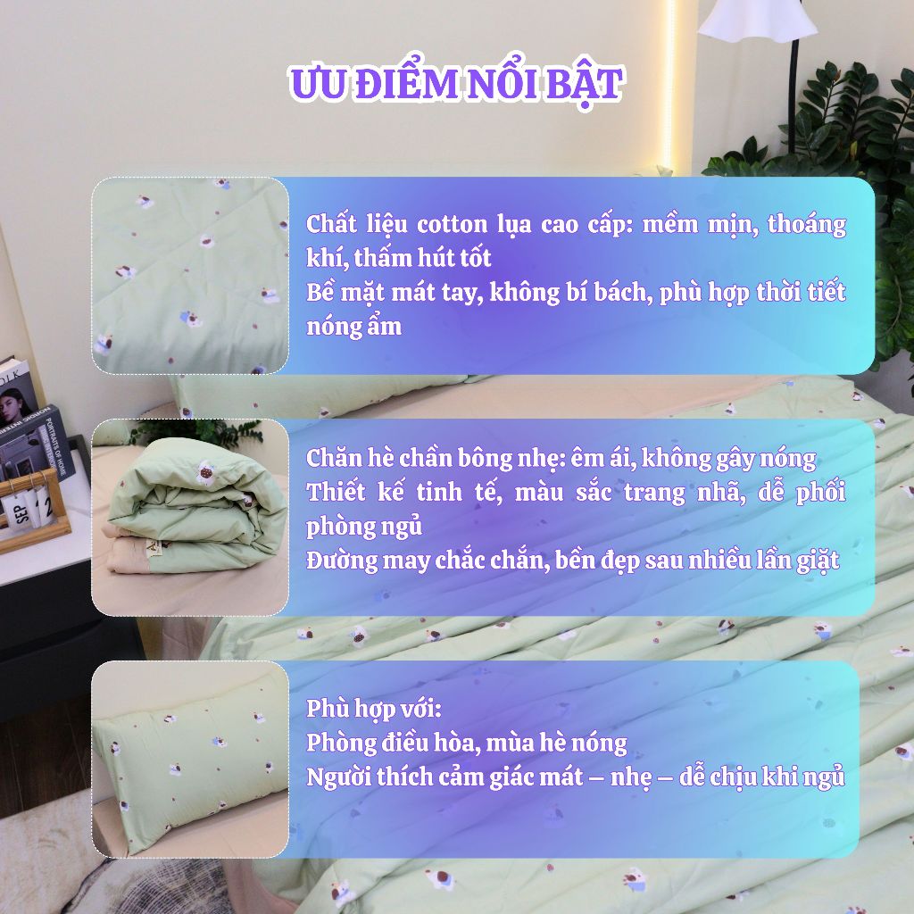 Bộ Chăn Ga Gối Cotton Lụa Cao Cấp – Mịn Mướt Thoáng Mát, Set 4 Món, Chăn Hè Chần Bông