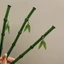 Trâm TRÚC VĨNH DẠ TINH HÀ Đinh Vũ Hề Ngu Thư Hân cài tóc nữ phong cách cổ trang thả tua ngọc cosplay hán phục hoa ngữ