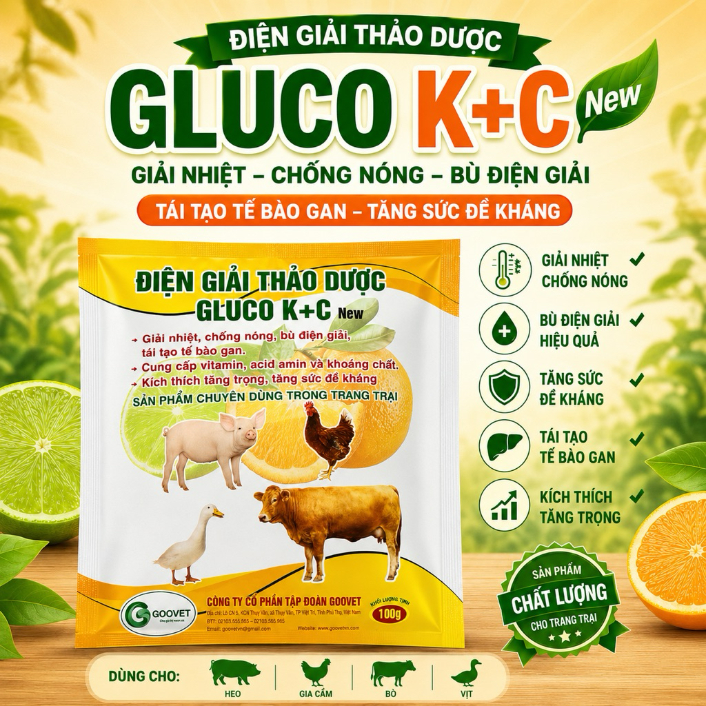 điện giải gluco kc thảo dược cho gà và vật nuôi