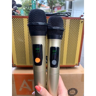 Loa Karaoke AT T8 + T9 Bass 20Cm Kèm 2 Micro, Âm Thanh Đầy Đủ Dải, Bass Chắc – Treble Sáng.