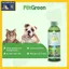 Combo Nước Uống Khử Mùi Răng Miệng Thú Cưng PetGreen Oral Care - Cải Thiện Mùi Hôi Miệng Thú Cưng