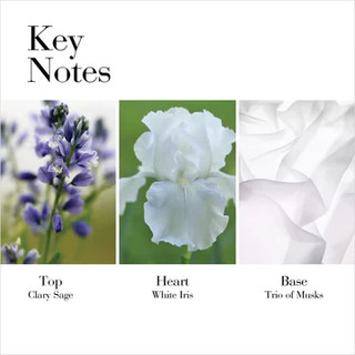 Nước hoa ELIZABETH ARDEN White Tea EDT