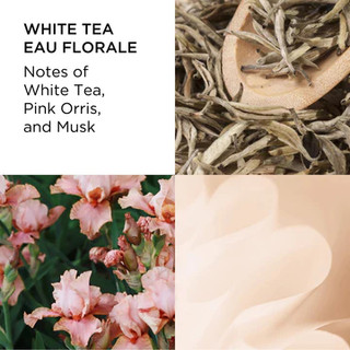 Nước hoa ELIZABETH ARDEN White Tea EDT
