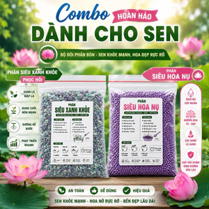 Phân bón dành cho sen, súng (200gr): combo hoàn hảo phục hồi và kích siêu nụ dành cho sen súng và cây thuỷ sinh