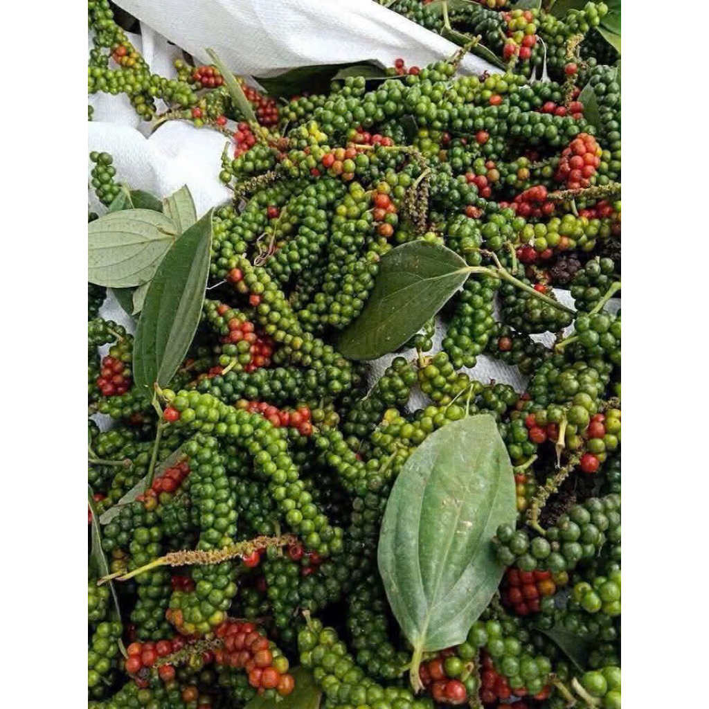 Tiêu đen nguyên hạt loại 250g giá rẻ cho mọi người sử dụng