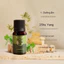 Tinh dầu massage thư giãn cơ thể-MỸ NGHỆ DƯỠNG SINH HT