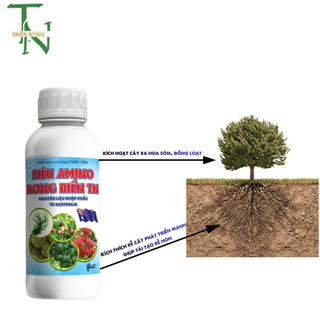Siêu Amino Rong Biển TN - 500ml - Thúc đẩy sự phát triển toàn diện cho cây từ rễ đến lá