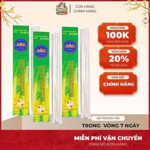 Combo 10 Hộp Nhang Muỗi Xanh Diệt Muỗi Côn Trùng Thái Lan Hiệu Quả
