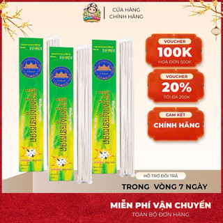 [CHÍNH HÃNG] Combo 10 Hộp Nhang Muỗi Xanh Diệt Muỗi Côn Trùng Thái Lan Hiệu Quả