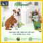 Xịt Khử Mùi Thú Cưng PetGreen Freshness Plus 500ml - Khử Khuẩn Giống Chó Nặng Mùi Pull, Pug