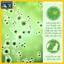 Xịt Khử Mùi Thú Cưng PetGreen Freshness Plus 500ml - Khử Khuẩn Giống Chó Nặng Mùi Pull, Pug