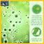 Combo Xịt Khử Mùi Thú Cưng PetGreen Freshness 360 Pure Air 100ml/500ml - Khử Mùi Nước Tiểu - Chuồng Trại - Chậu Cát