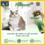 Combo Xịt Khử Mùi Thú Cưng PetGreen Freshness 360 Pure Air 100ml/500ml - Khử Mùi Nước Tiểu - Chuồng Trại - Chậu Cát