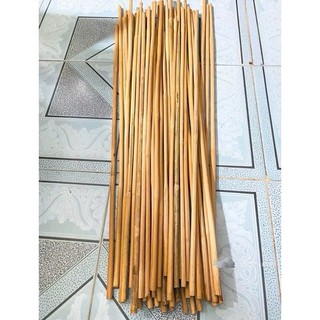 Cây roi mây tươi xanh dài 80cm roi mây dẻo dai đa công dụng, không gãy, không mối mọt