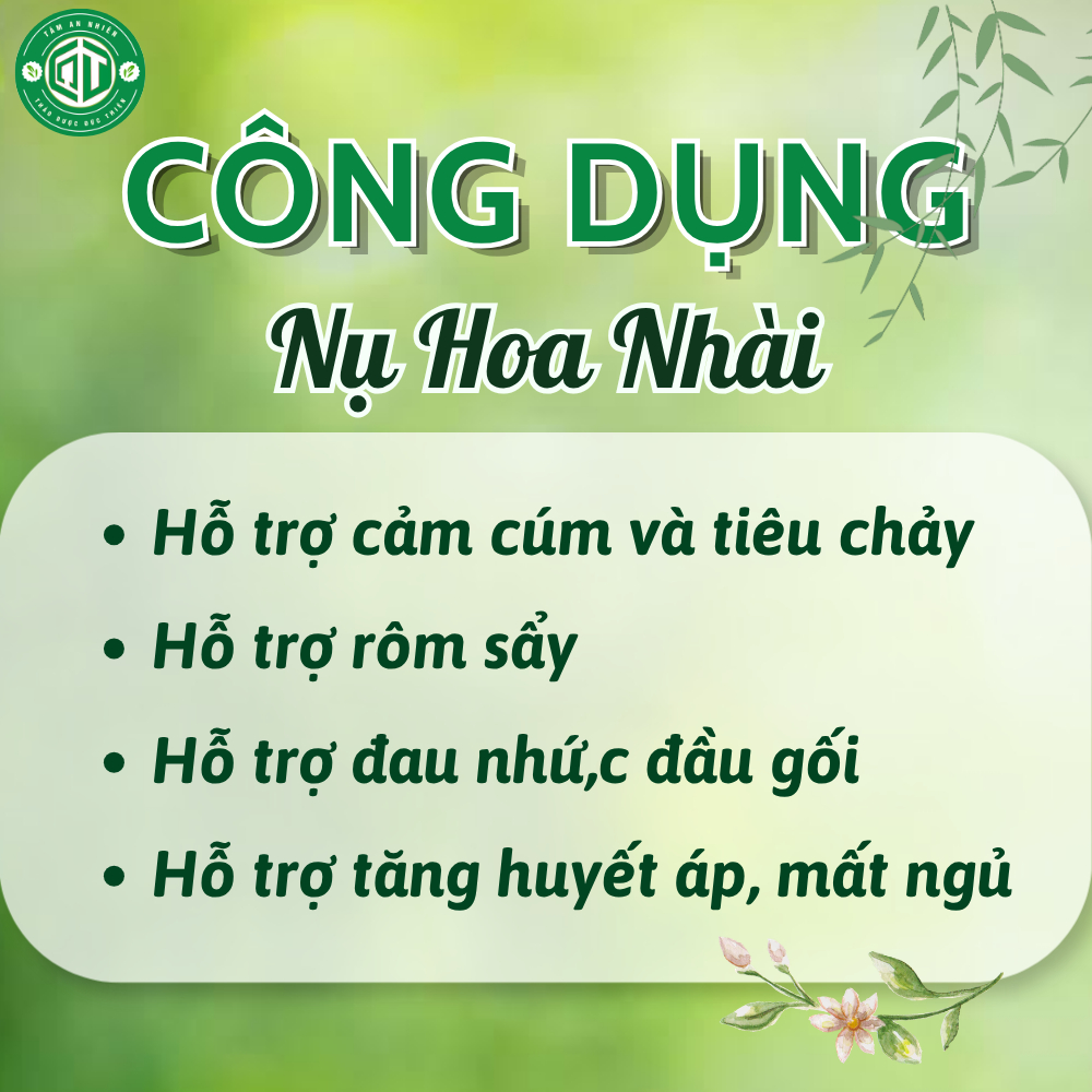Nụ Nhài Khô Đức Thiện Loại 1 100g/200g – Khô, Sạch, Thơm – Làm Đẹp Da, Chống Lão Hóa, Hỗ Trợ Tim