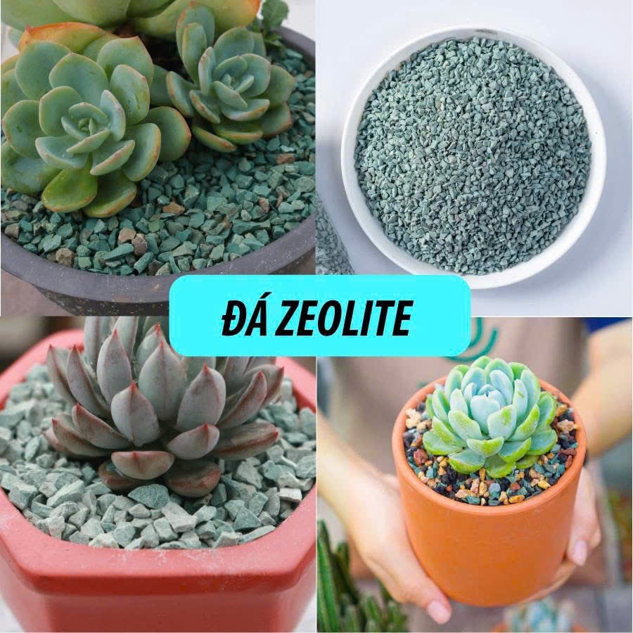 Đá Zeolite size 3-6mm - Đá rải mặt, trộn giá thể trồng sen đá, xương rồng - Giúp Thoáng Rễ, Hạn Chế Úng