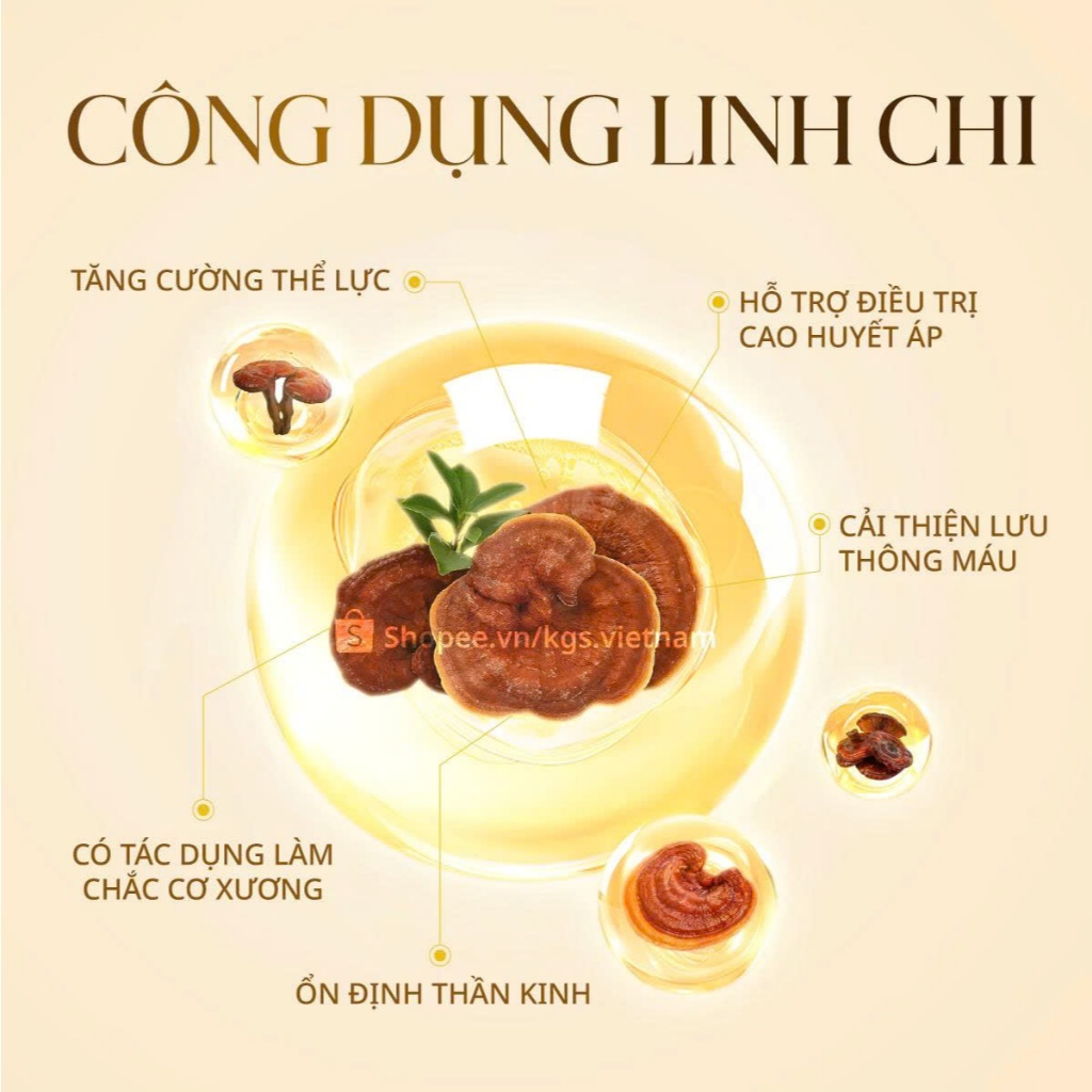 Nước Hồng Sâm Hàn Quốc KGS Tonic Gold – Hồng Sâm 6 Năm Bổ Sung Vitamin C, B3 - hộp 10 gói/ 60 gói