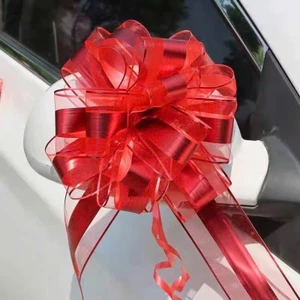 Nơ Rút Bản To Tú Cầu Trang Trí Cây Cảnh - Phụ Kiện Quà Tặng Khai Trương, Tân Gia (Bán kèm cây) - BÁC HAI GARDEN