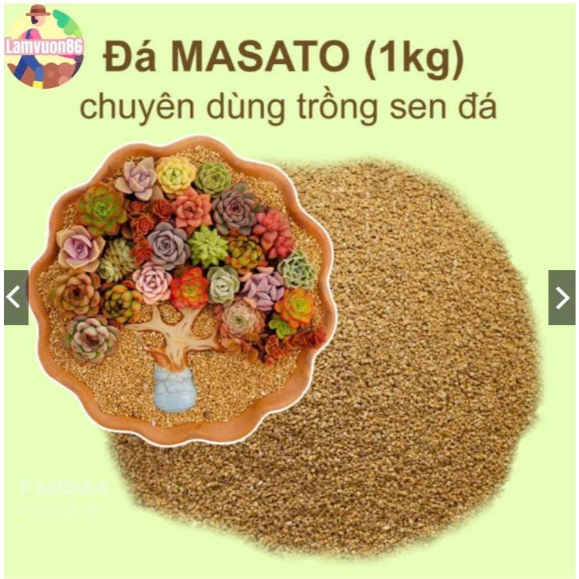 Đá Masato Phủ Mặt Chậu Sen Đá  – Trang Trí Xương Rồng, Giữ Chậu Sạch, Thẩm Mỹ Nhật