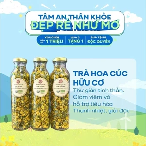 Trà hoa Cúc Cổ Trà hữu cơ sấy khô Việt Nam an thần ngủ ngon tốt cho sức khỏe