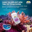 Nature's Way Bursts Calcium With Magnesium + Zinc canxi từ tảo đỏ cho bé từ 6 tháng tuổi - 11 tuổi