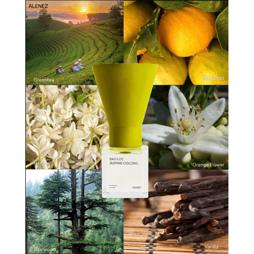 NƯỚC HOA EDP: TRÀ LÀI OOLONG - JASMINE OOLONG OF BAO LOC CHÍNH HÃNG DUNG TÍCH 30ML
