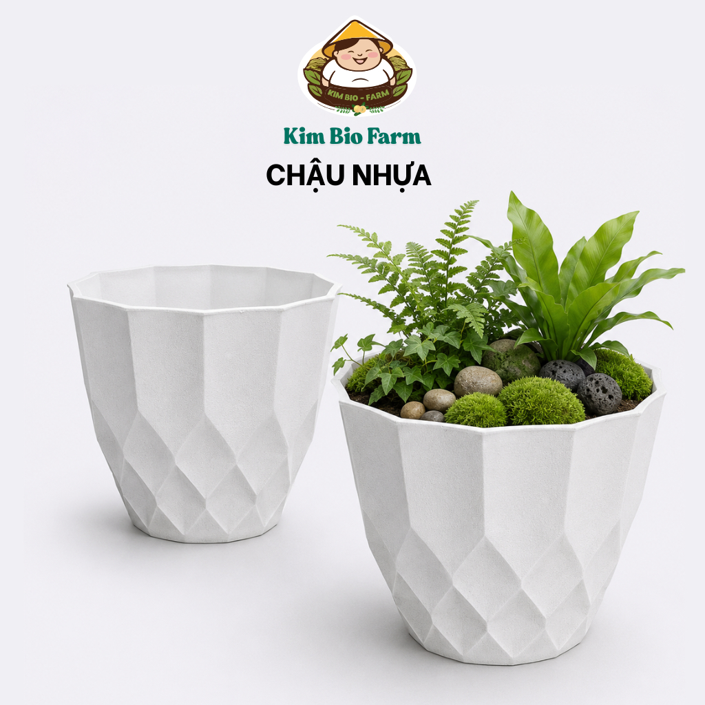 Chậu Nhựa Sao Băng Nhựa Cao Cấp Kimbiofarn – Chậu Trồng Cây Ban Công, Sân Vườn 21xH19x13cm