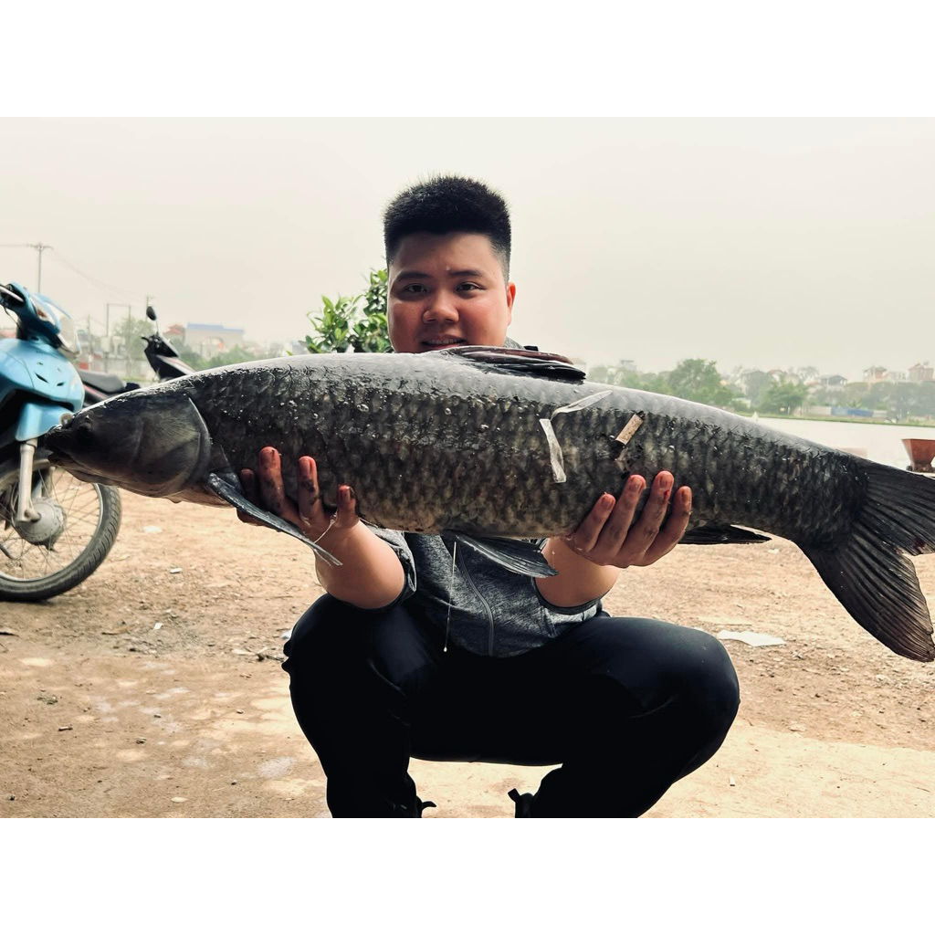 HỘP THÍNH TRẮM ĐEN ĐẶC BIỆT VIP 3 MÙA HÈ