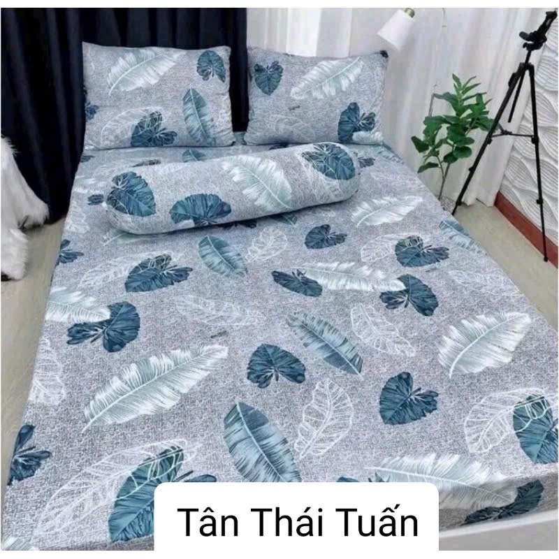 Bộ ga thun lạnh 1,6*2m in Hàn để Quốc [ 3 MÓN] không áo gối ôm