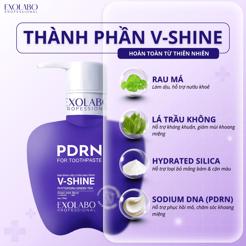 [ EXOLABO ] COMBO TOÀN DIỆN -  Kem Trắng Răng V-Shine & Xịt Thơm miệng G-Fresh - Bộ Đôi Chăm Sóc Tại Nhà, Làm Trắng Răng