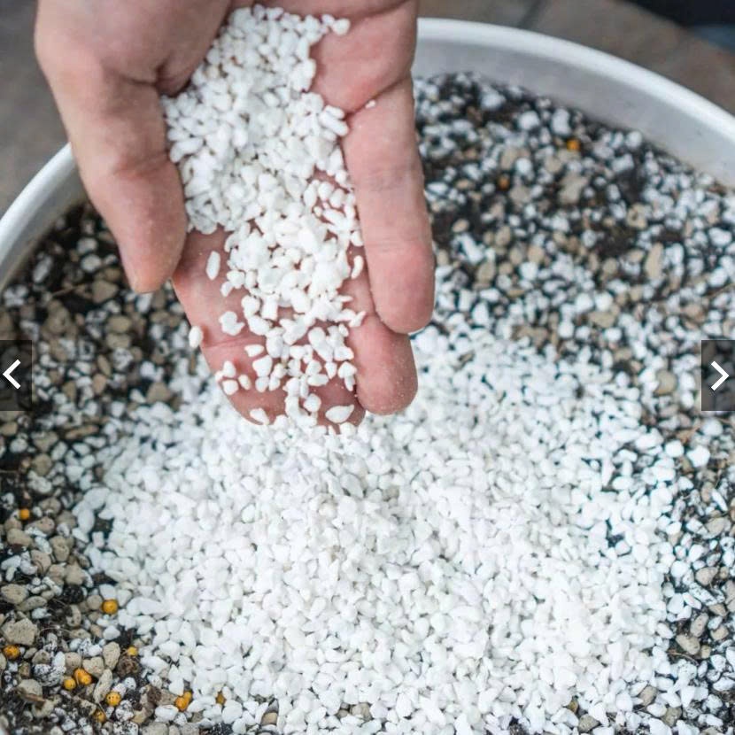 Đá Perlite Trồng Cây – Giá Thể Tăng Độ Thoáng Khí, Chống Úng Rễ, Cải Tạo Đất Trồng Sen Đá Xương Rồng