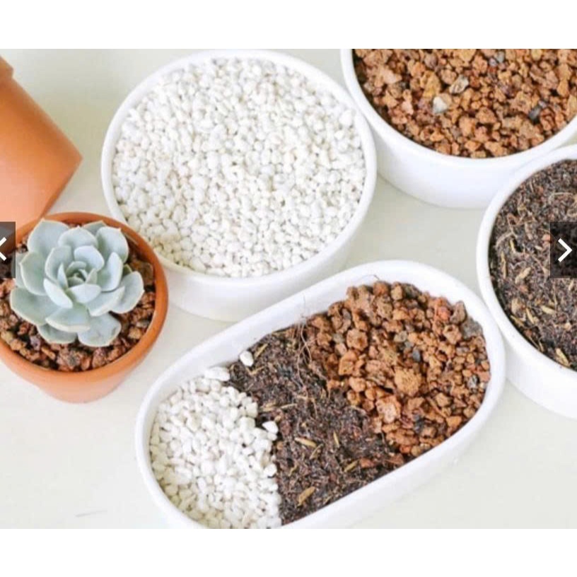 Đá Perlite Trồng Cây – Giá Thể Tăng Độ Thoáng Khí, Chống Úng Rễ, Cải Tạo Đất Trồng Sen Đá Xương Rồng