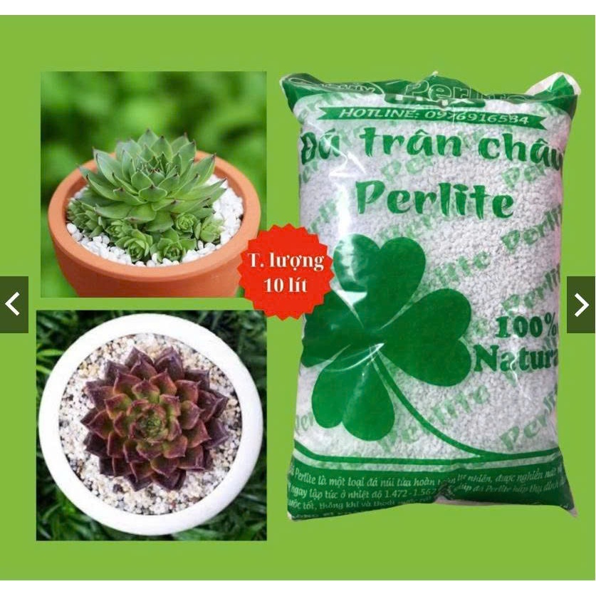 Đá Perlite Trồng Cây – Giá Thể Tăng Độ Thoáng Khí, Chống Úng Rễ, Cải Tạo Đất Trồng Sen Đá Xương Rồng