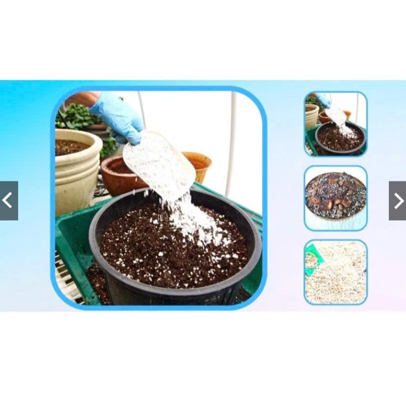 Đá Perlite Trồng Cây – Giá Thể Tăng Độ Thoáng Khí, Chống Úng Rễ, Cải Tạo Đất Trồng Sen Đá Xương Rồng