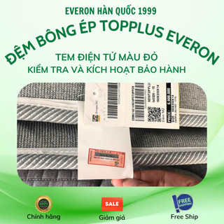 Đệm bông ép TOP PLUS - New Everon